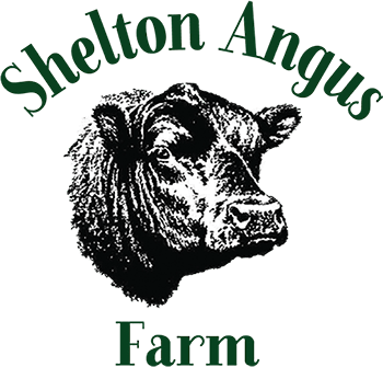 Shelton Angus Farm logo