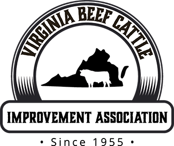 Virginia BCIA Culpeper Senior Bull Test logo